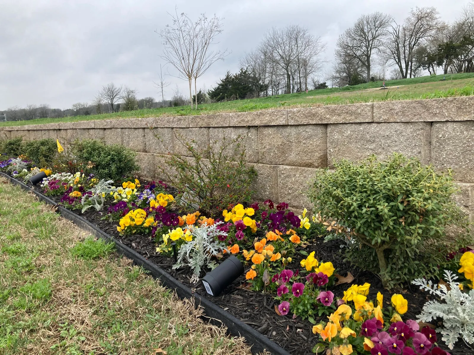 Maintained flower beds and landscaping at Primrose Hill wedding venue